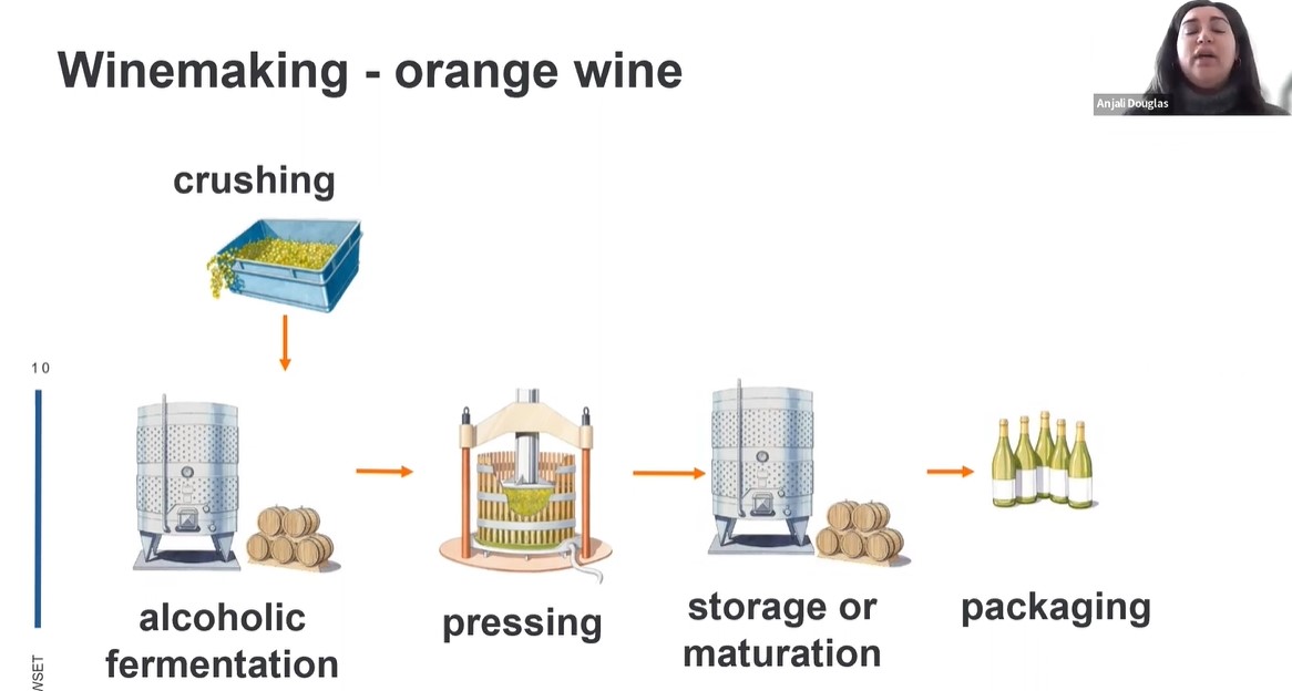 WSET postopek pridelave oranžnih vin